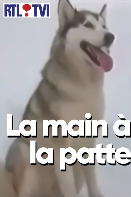 La main à la patte Season 2 poster