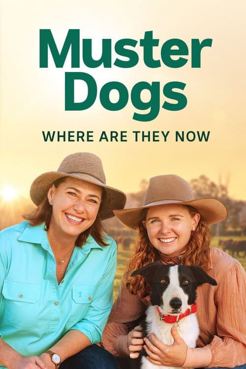 Muster Dogs: Where Are They Now Season 1 poster