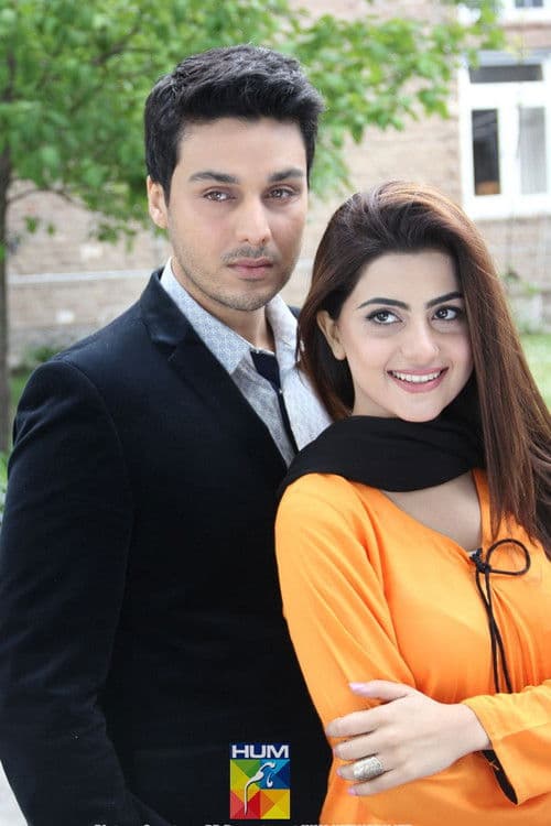 Khoya Khoya Chand Season 1 poster