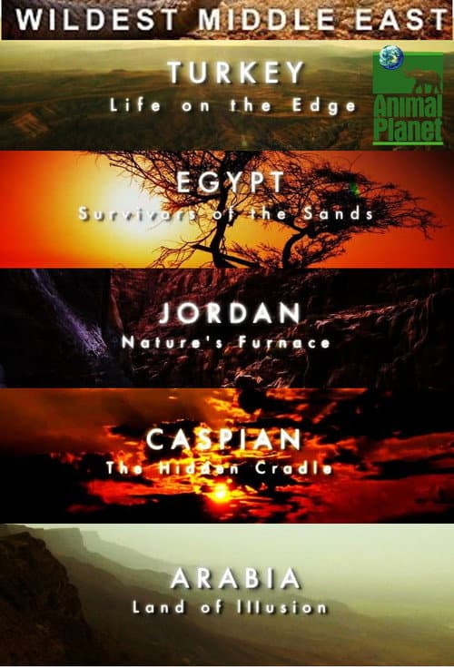 Wildest Middle East Season 1 poster