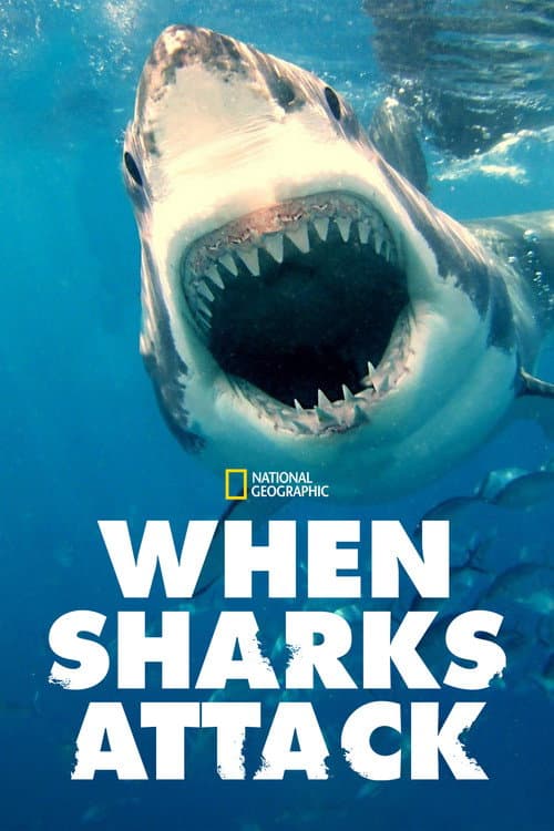 When Sharks Attack Season 5 poster