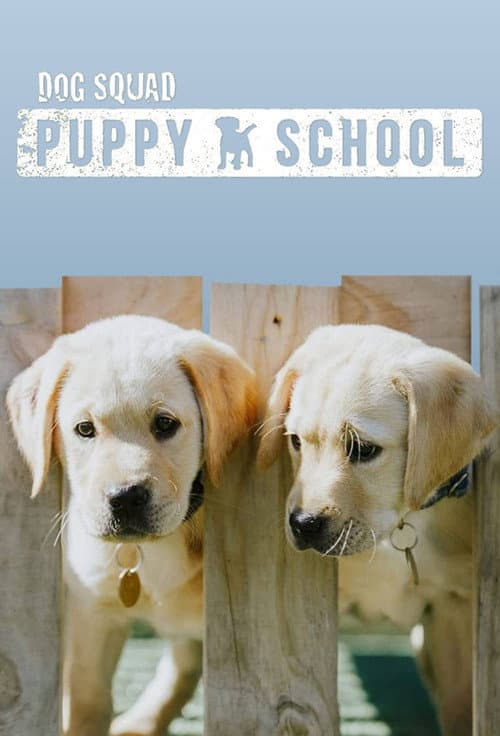 Dog Squad Puppy School Season 2 poster