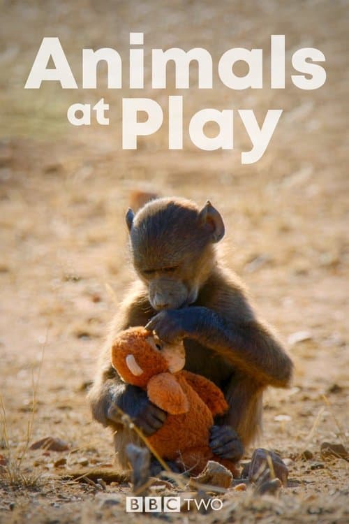 Animals at Play Miniseries poster