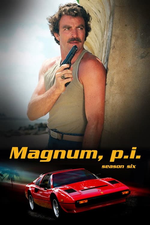 Magnum, P.I. Season 6 poster