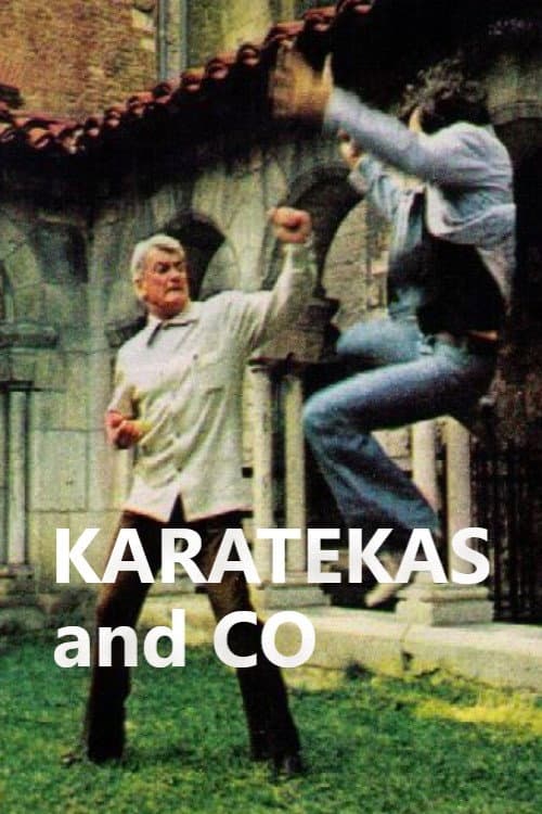 Karatékas and Co Season 1 poster