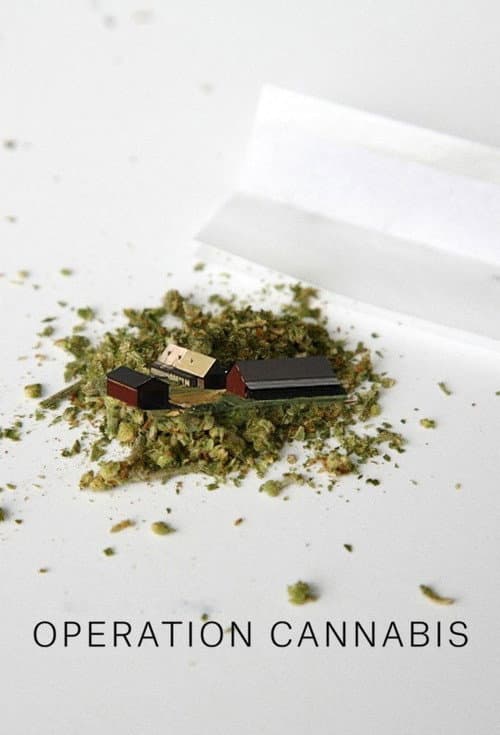 Operation Cannabis Season 1 poster