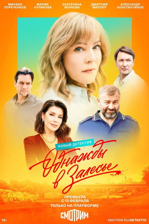 Odnazhdy v Zalese Season 1 poster