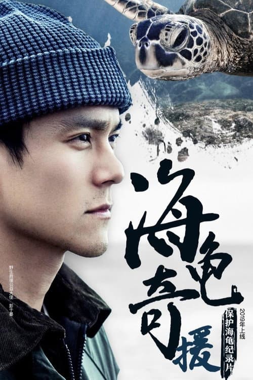 海龟奇援 Season 1 poster