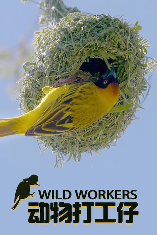 Wild Workers Season 1 poster