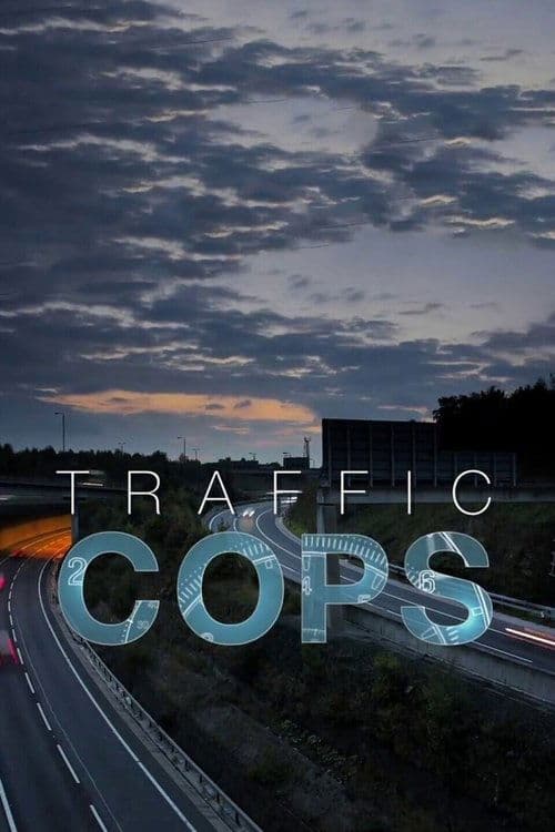 Traffic Cops Season 2 poster