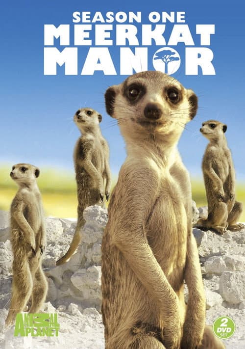Meerkat Manor Season 1 poster