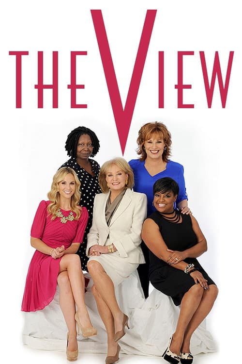 The View Season 13 poster