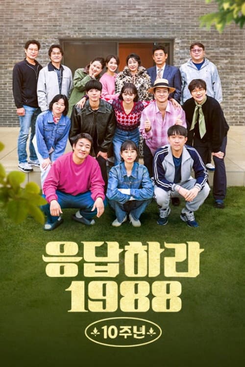 Reply 1988 10th Anniversary Season 1 poster