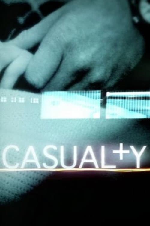 Casualty Series 22 poster