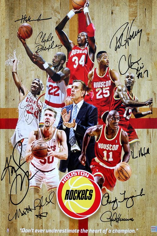 The 1995 NBA Finals Season 1 poster