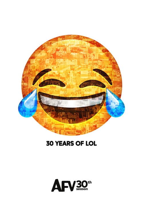 America's Funniest Home Videos Season 30 poster