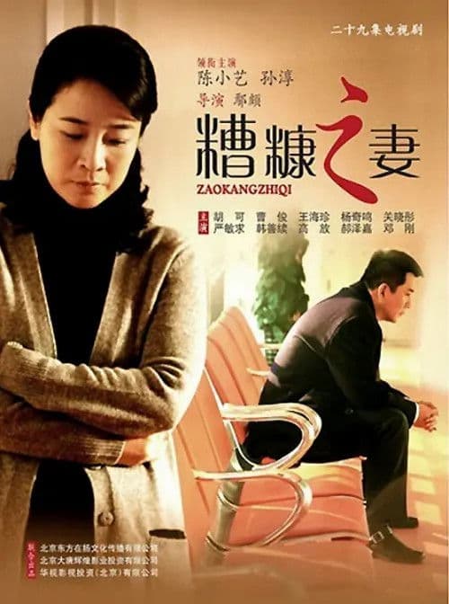 我的糟糠之妻 Season 1 poster