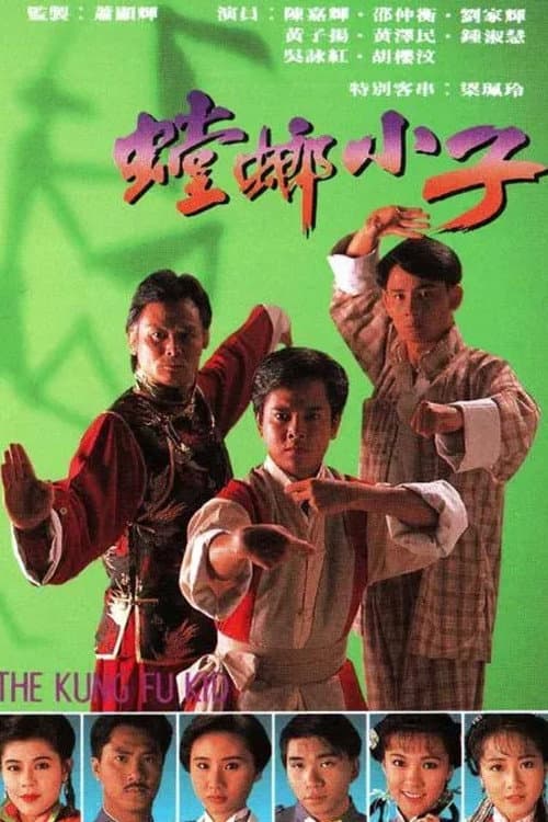 The Kung Fu Kid Season 1 poster