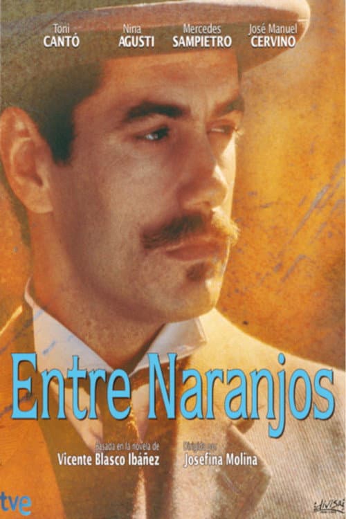 Entre naranjos Miniseries poster