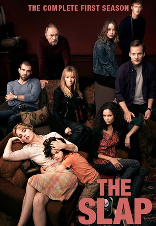 The Slap Season 1 poster