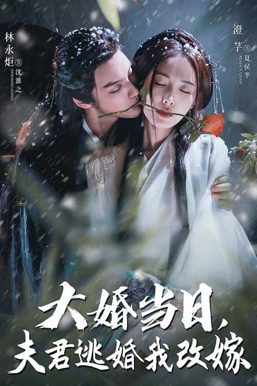 大婚当日夫君逃婚我改嫁 Season 1 poster