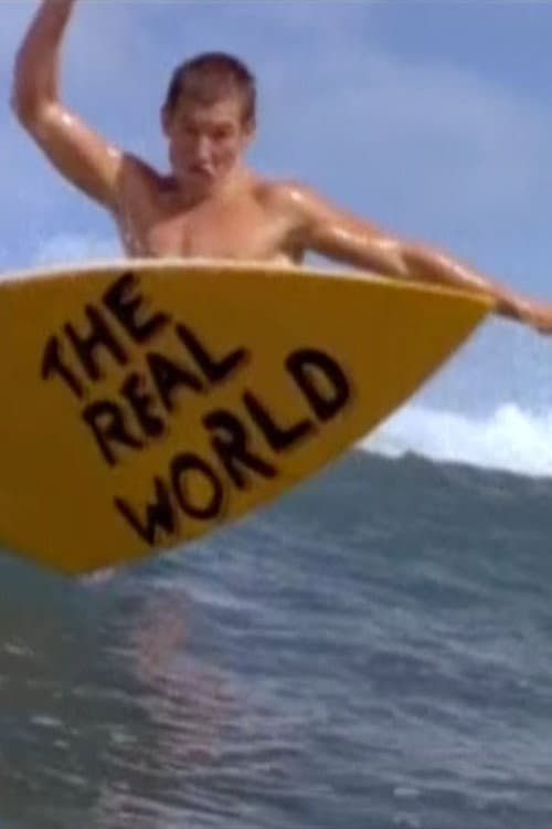 The Real World Hawaii poster