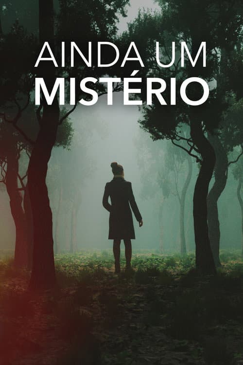 Still a Mystery Season 2 poster