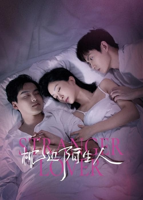My Stranger Husband Season 1 poster
