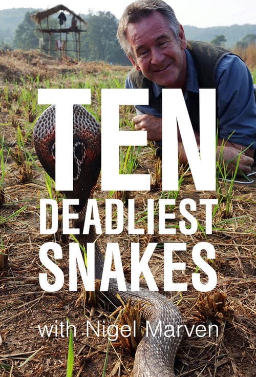 Ten Deadliest Snakes with Nigel Marven Season 2 poster