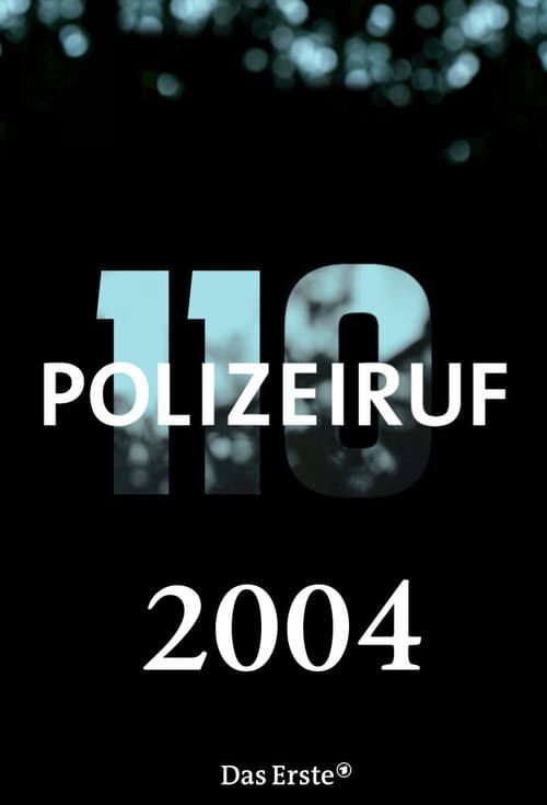 Polizeiruf 110 Season 33 poster