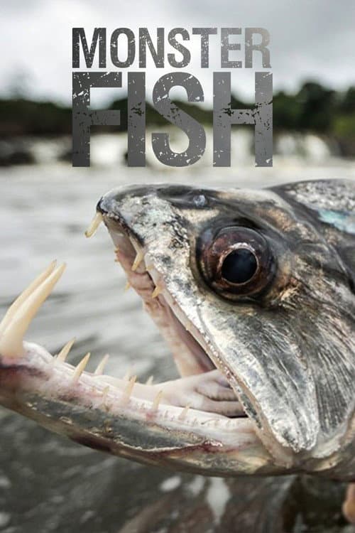 Monster Fish Season 3 poster