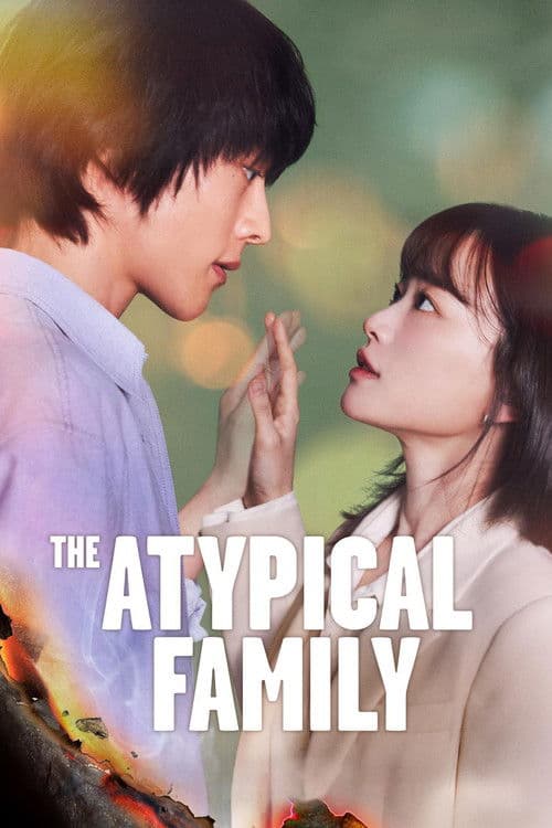 The Atypical Family Limited Series poster