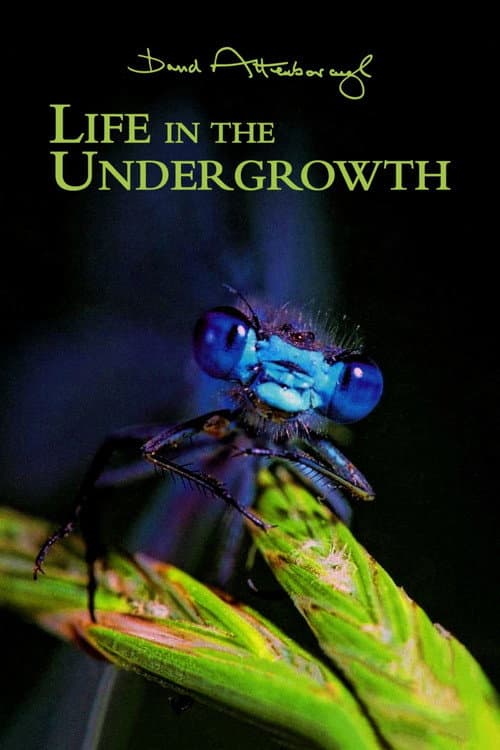 Life in the Undergrowth Miniseries poster