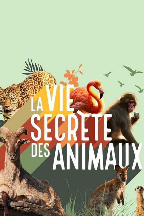 La vie secrète des animaux Season 1 poster