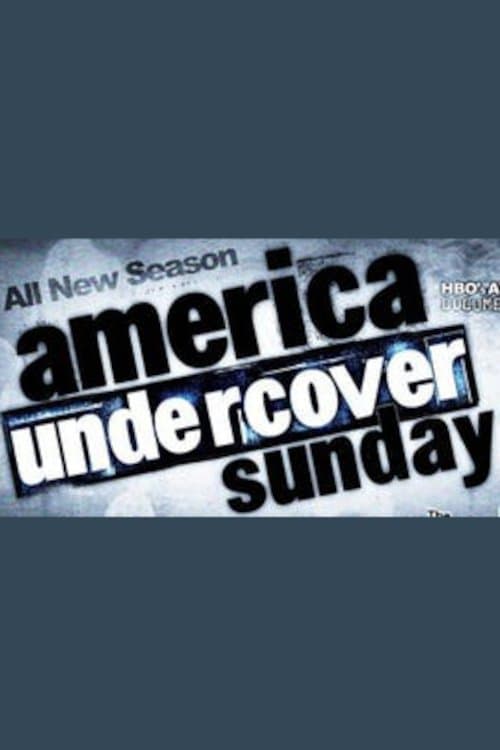 America Undercover Season 1 poster