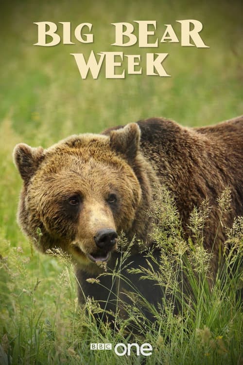 Big Bear Week Season 1 poster