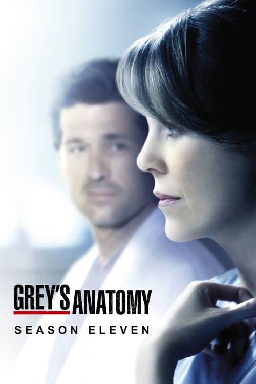 Grey's Anatomy Season 11 poster
