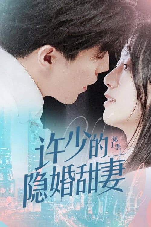 Hidden Sweet Wife Season 1 poster