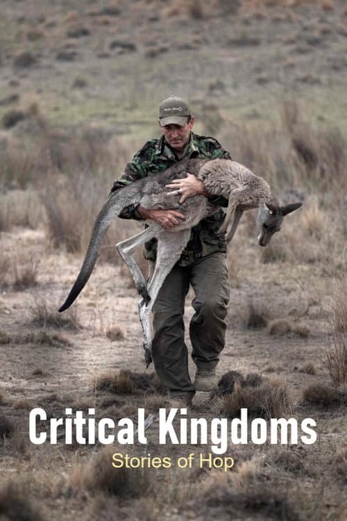 Critical Kingdoms - Stories of Hope Season 1 poster