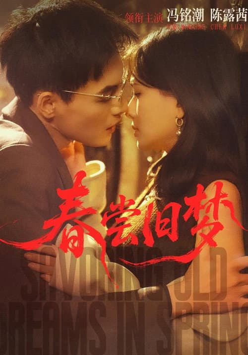 春尝旧梦 Season 1 poster
