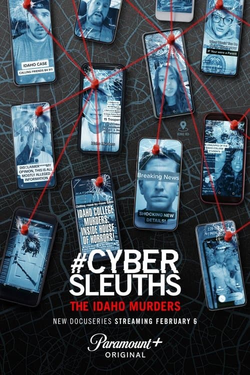 #CyberSleuths: The Idaho Murders Season 1 poster