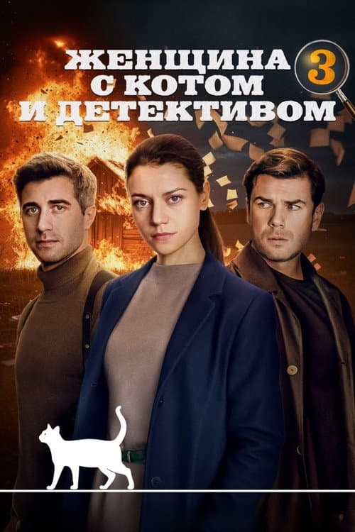 Женщина с котом и детективом Season 3 poster