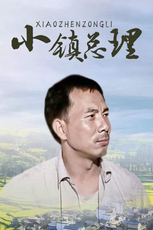 小镇总理 Season 1 poster