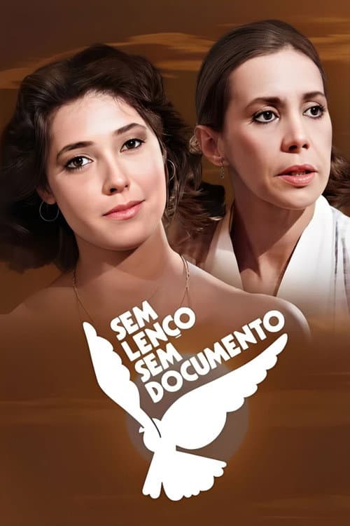 Sem Lenço, Sem Documento Season 1 poster