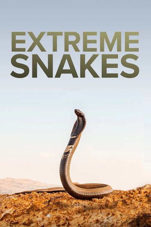 Extreme Snakes Season 1 poster