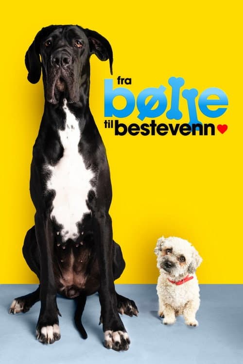 From bully to best friend Season 3 poster