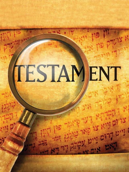 Testament Season 1 poster