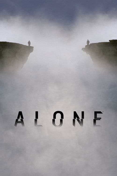 Alone Lost & Found poster