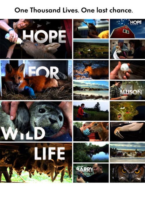 Hope for Wildlife Season 2 poster