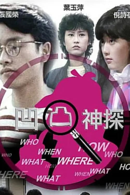 凹凸神探‎ Season 1 poster